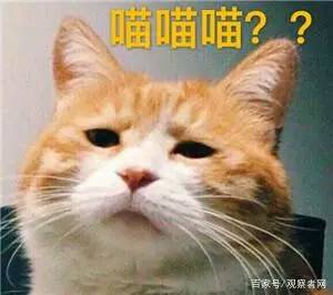 162657dfldtlxtdbwmqvm5.jpg