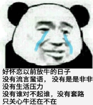 104525nxiiz03rexihexpy.jpg