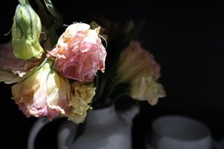 626D32C5-37B8-4F6C-8E6A-56E7EEDE27F6.jpeg