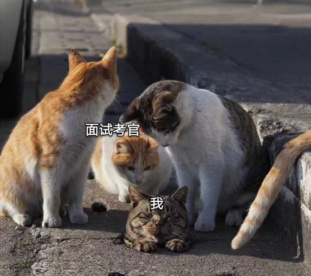 .jpg